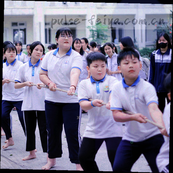 几何化的数据表格层叠，中间有放大镜强调搜索